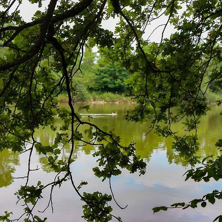 Espace Nature Studio Independant Proche Du Parc Des Oiseaux Sainte-Olive 외부 사진