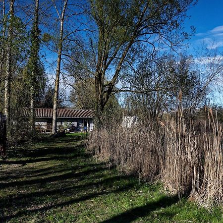 Espace Nature Studio Independant Proche Du Parc Des Oiseaux Sainte-Olive 외부 사진