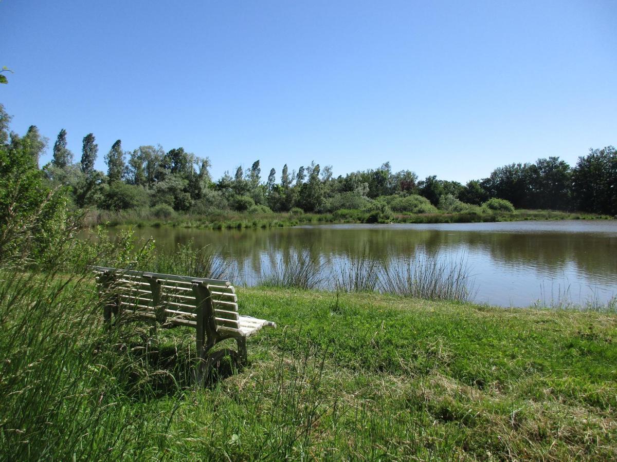 Espace Nature Studio Independant Proche Du Parc Des Oiseaux Sainte-Olive 외부 사진
