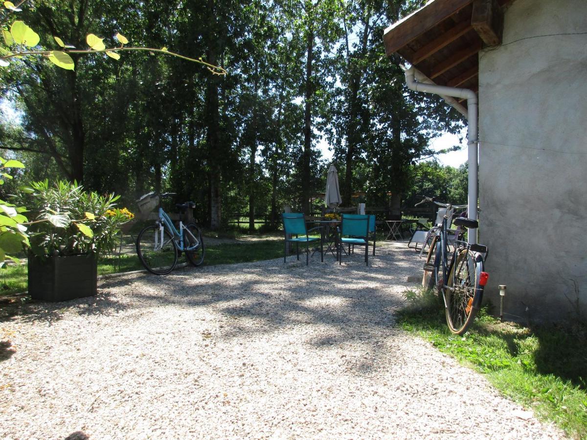 Espace Nature Studio Independant Proche Du Parc Des Oiseaux Sainte-Olive 외부 사진