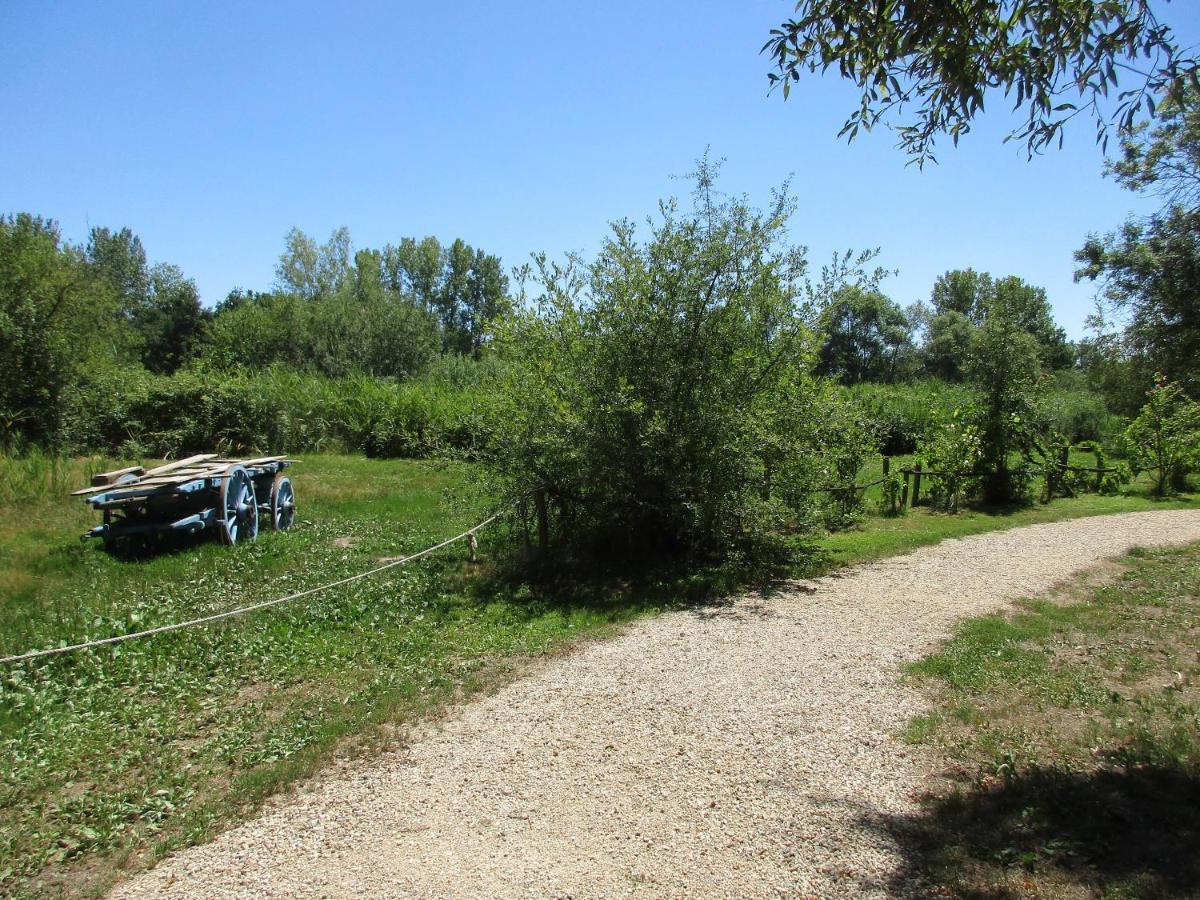 Espace Nature Studio Independant Proche Du Parc Des Oiseaux Sainte-Olive 외부 사진