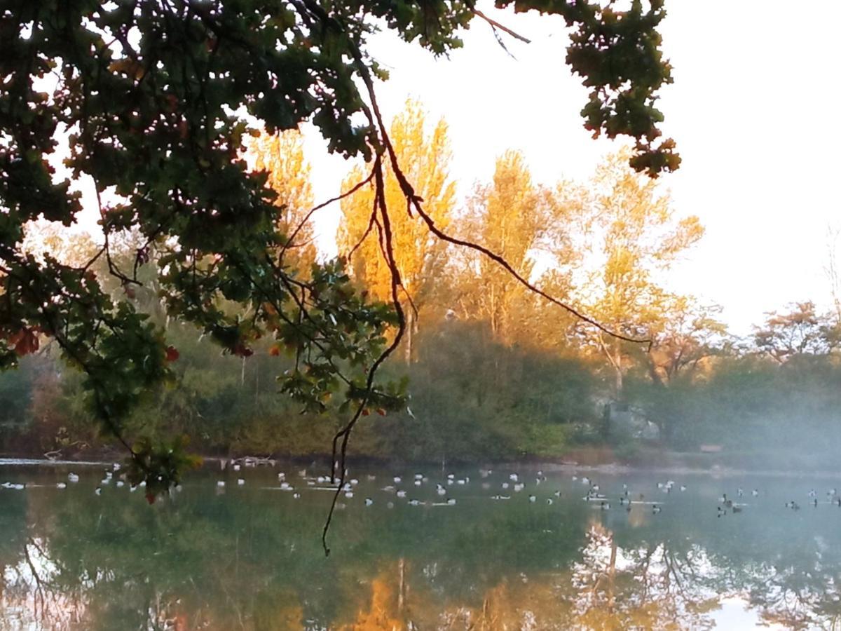 Espace Nature Studio Independant Proche Du Parc Des Oiseaux Sainte-Olive 외부 사진