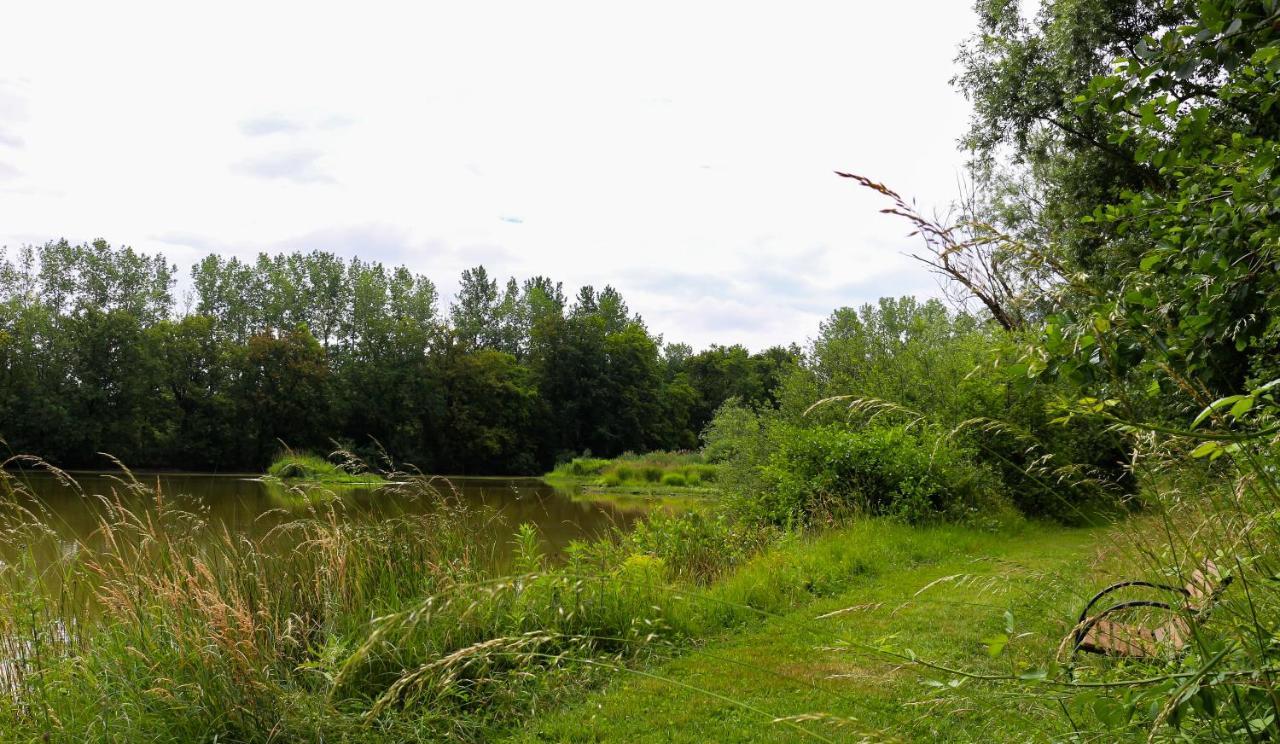 Espace Nature Studio Independant Proche Du Parc Des Oiseaux Sainte-Olive 외부 사진