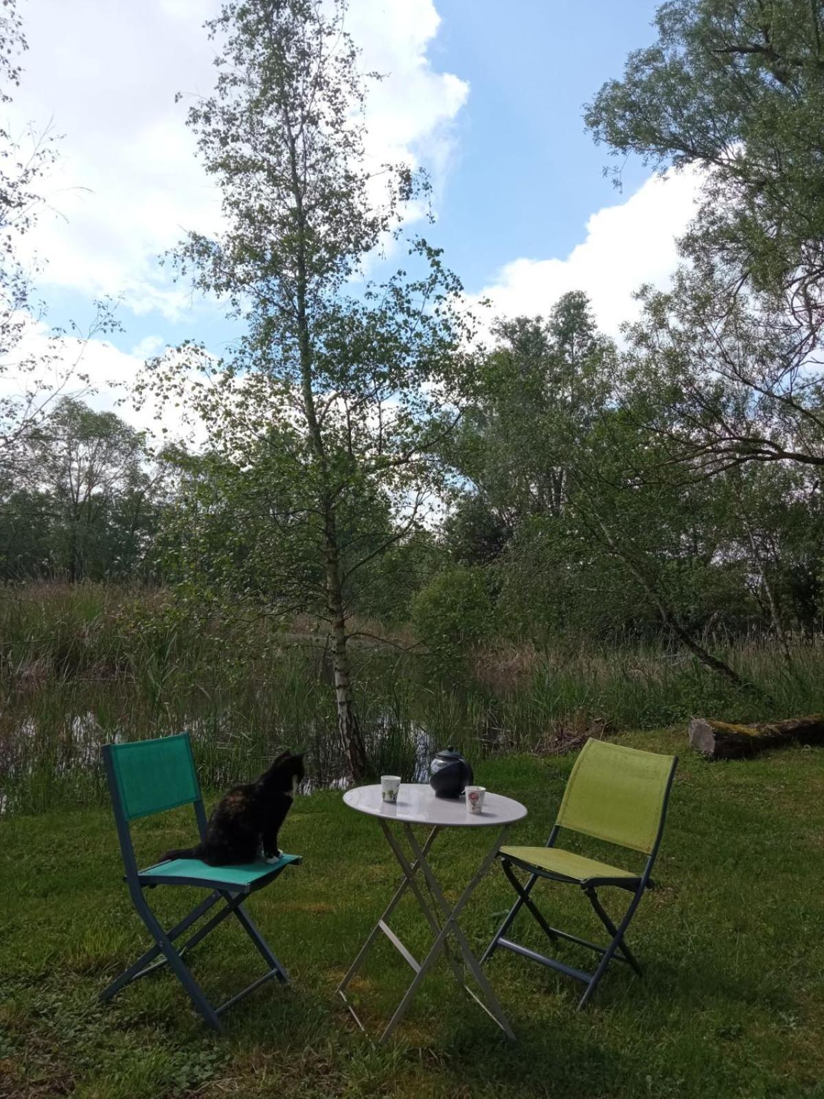 Espace Nature Studio Independant Proche Du Parc Des Oiseaux Sainte-Olive 외부 사진
