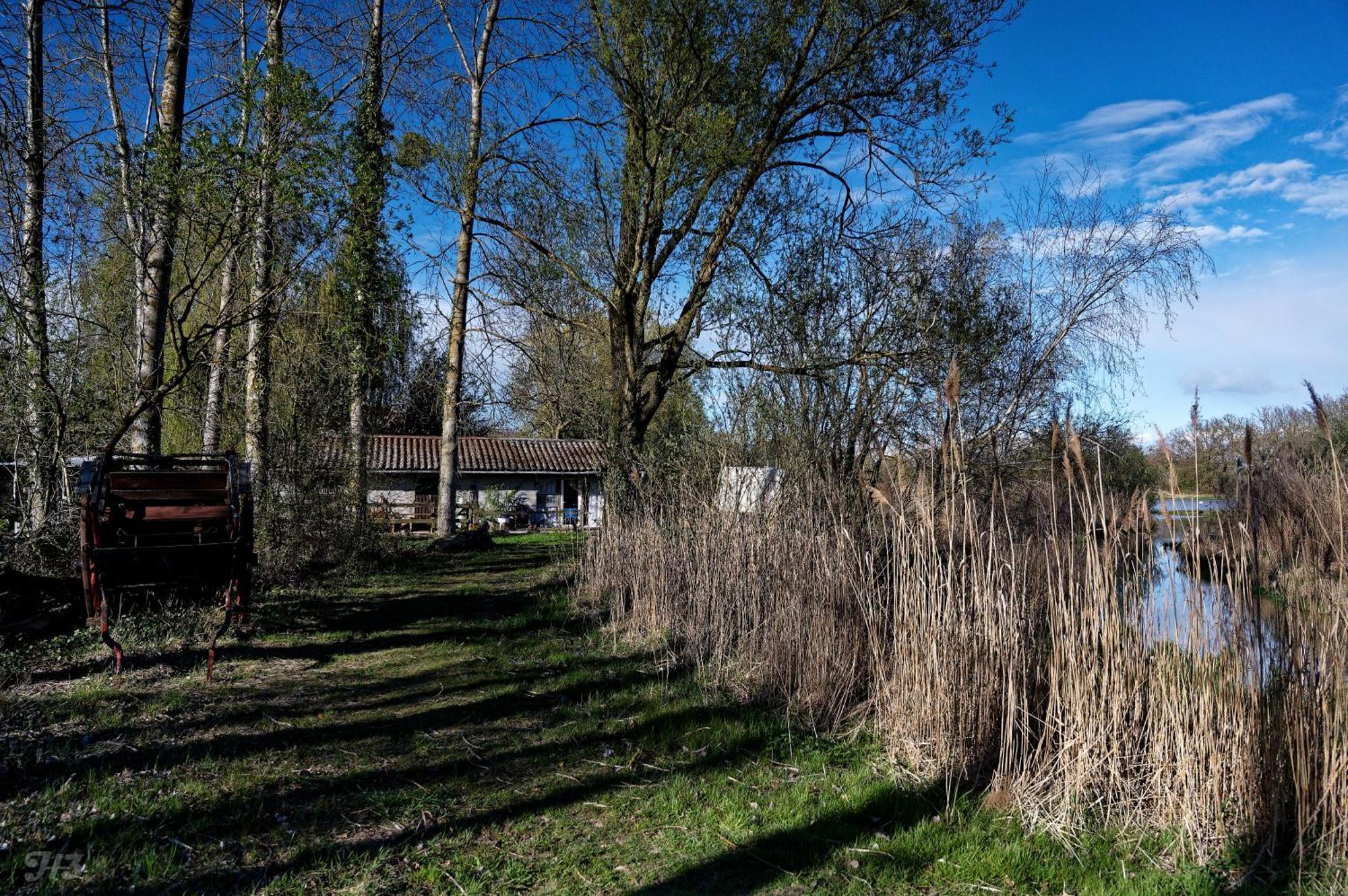 Espace Nature Studio Independant Proche Du Parc Des Oiseaux Sainte-Olive 외부 사진